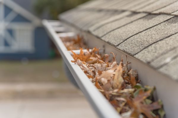 Leaf Barrier Installation in Reidsville